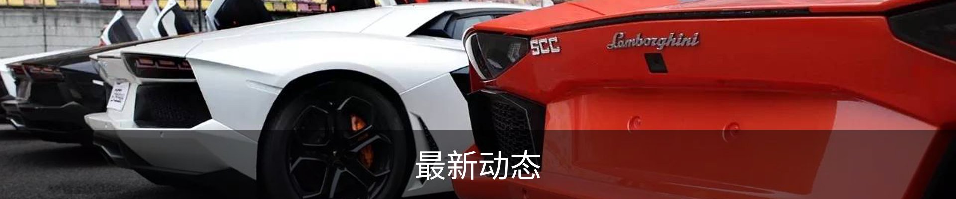 最新动态